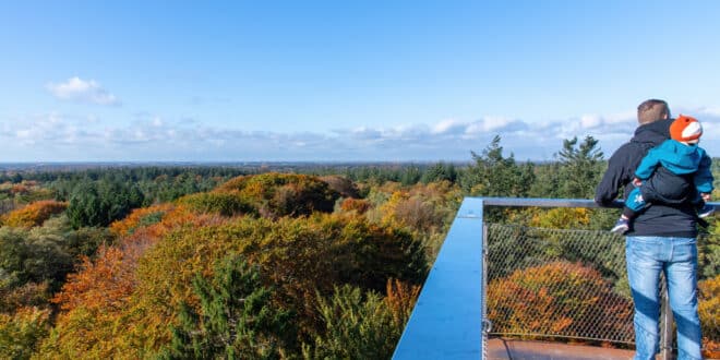 Kaapse bossen utrechtse heuvelrug, wandelen in Friesland