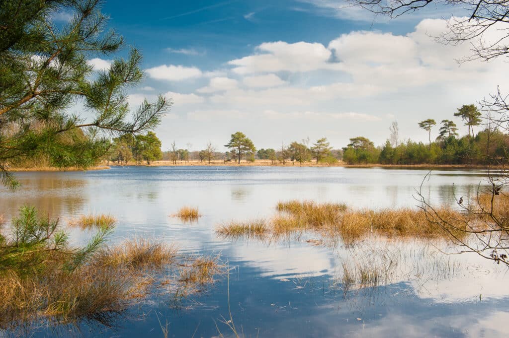 Leersumse veld utrechtse heuvelrug, natuurgebieden nederland