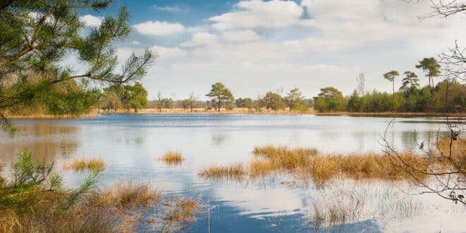 Leersumse veld utrechtse heuvelrug, campings Utrechtse Heuvelrug