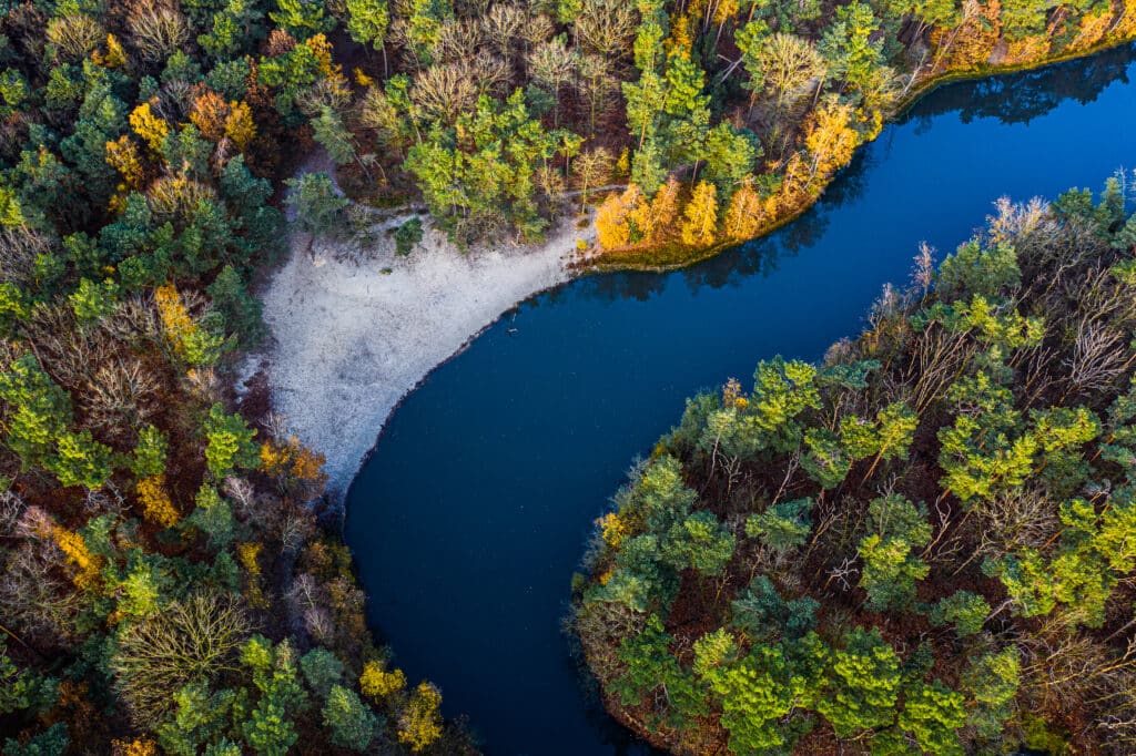Ontdek Nationaal Park De Loonse en Drunense Duinen