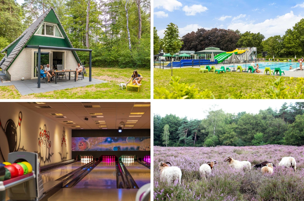 Vakantieparken in Utrecht? Dit zijn de 10 leukste!