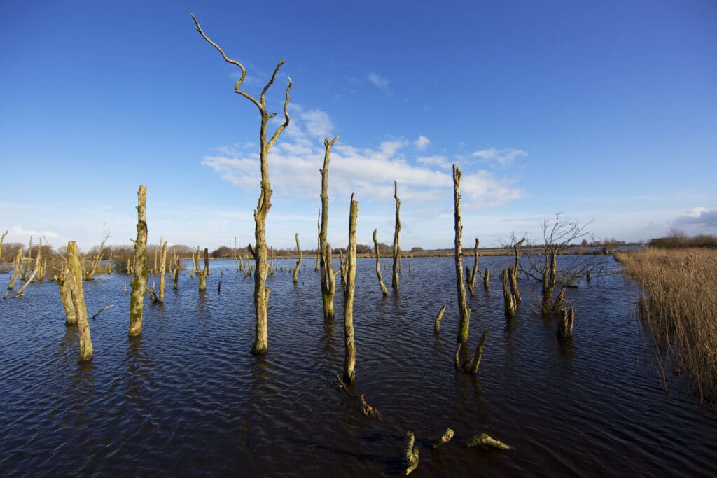 Nationaal Park De Alde Feanen nationale parken Nederland, natuurgebieden nederland