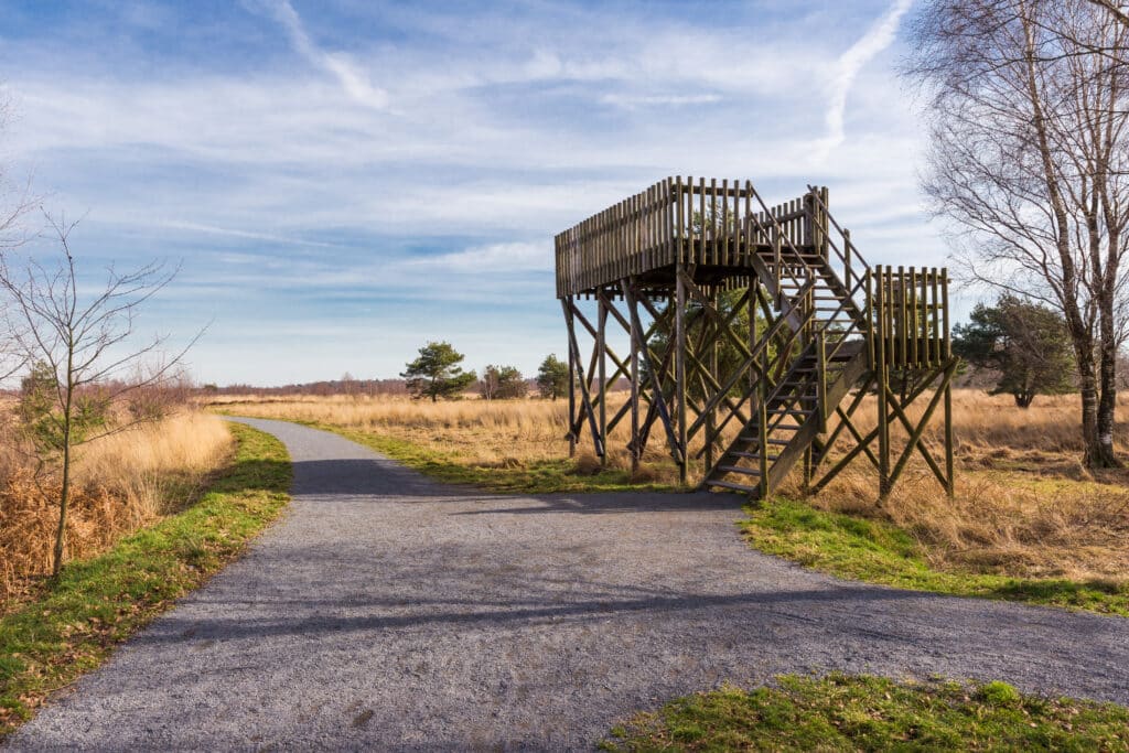 Nationaal Park De Groote Peel, wandelen in Drenthe