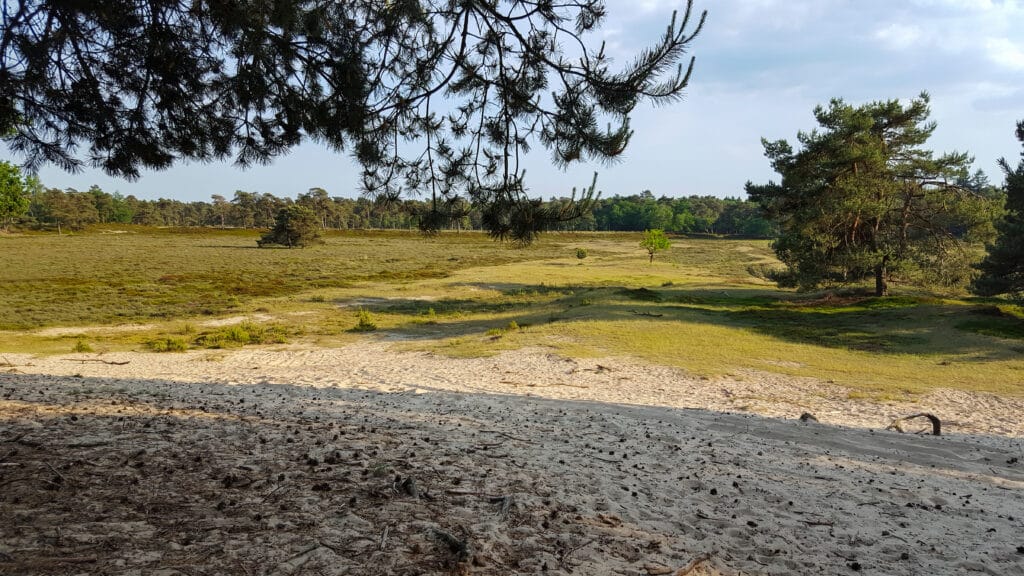 Nationaal Park Drents Friese Wold nationale parken Nederland, wandelen Twente