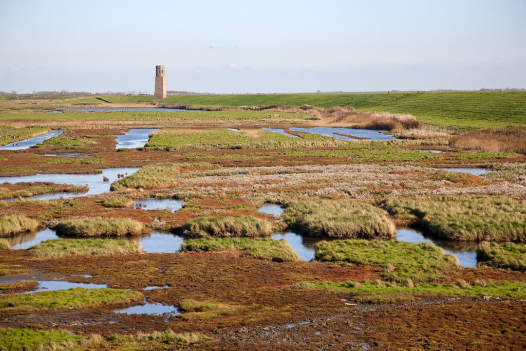 Nationaal Park Oosterschelde Nationale Parken Nederland 1024x683