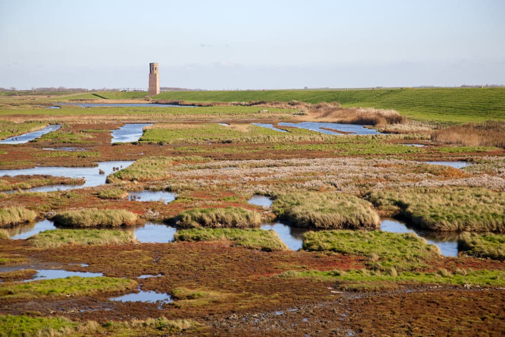 Nationaal Park Oosterschelde Nationale parken Nederland, Natuurgebieden Limburg