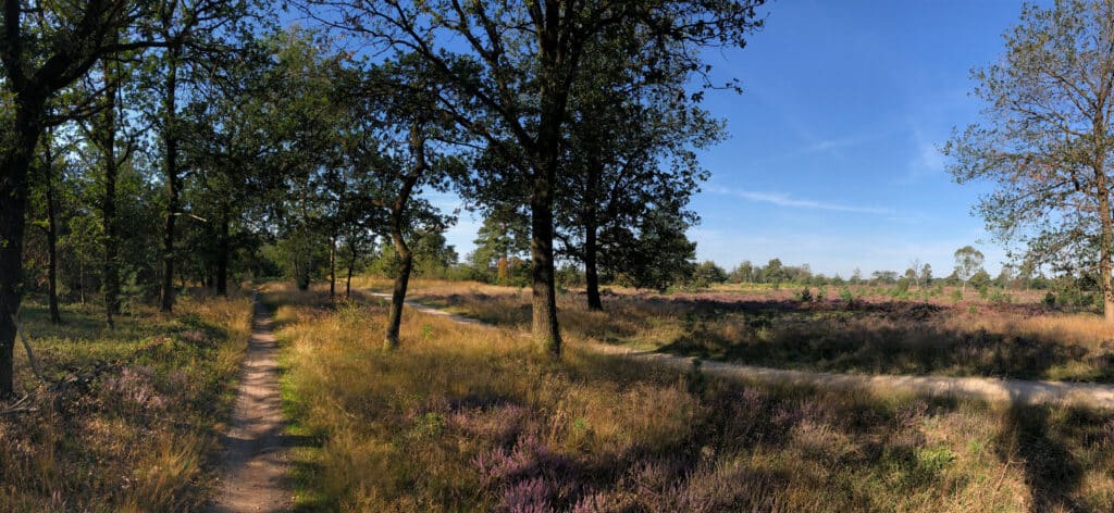 Nationaal Park Sallandse Heuvelrug Nationale Parken Nederland 1024x472