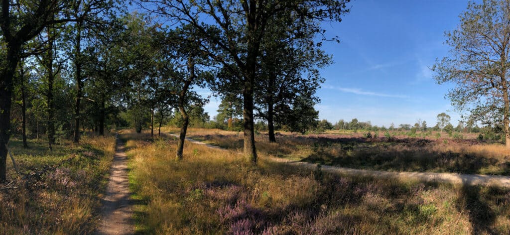 Nationaal Park Sallandse Heuvelrug Nationale parken Nederland, wandelen op de veluwe