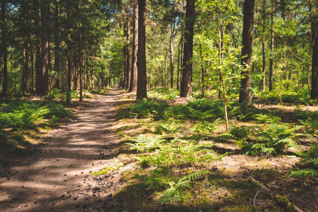 Nationaal Park Utrechtse Heuvelrug nationale Parken Nederland, Natuurgebieden in Nederland