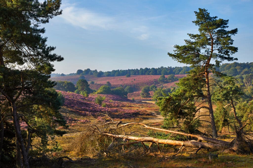 Nationaal Park Veluwezoom, vakantiehuisjes met jacuzzi op de Veluwe