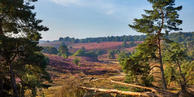 Nationaal Park Veluwezoom, nationale parken Duitsland