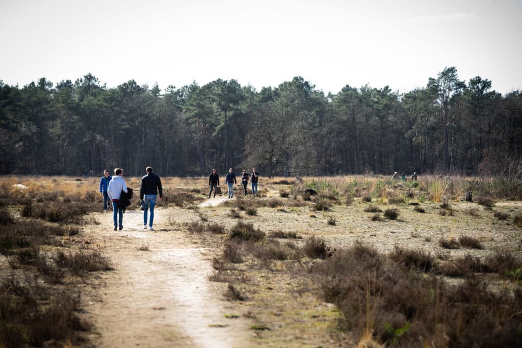 Wandelen Loons en Drunense Duinen, wandelen brabant