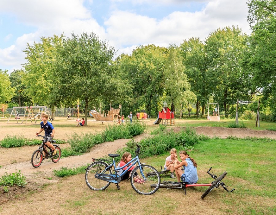 Ardoer camping De Bosgraaf 1, vakantiehuisjes met jacuzzi op de Veluwe