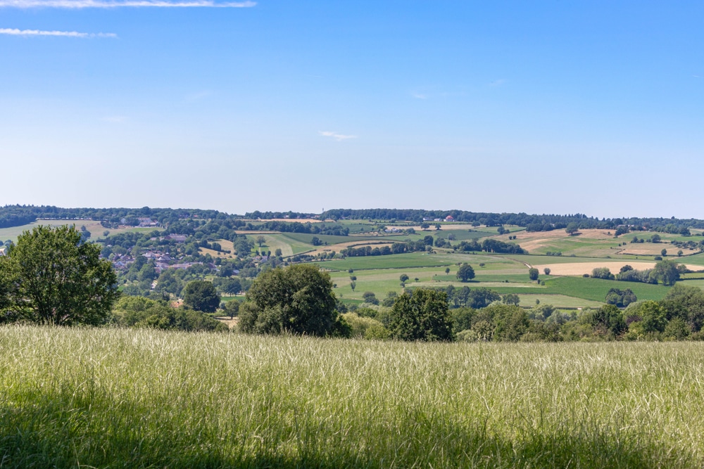 Mergellandroute Limburg shutterstock 1473165539, wandelen op de veluwe