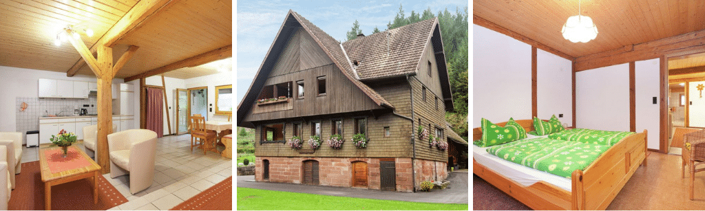 Natuurhuisje Bad rippoldsau schapbach, Vakantiehuis Zwarte Woud