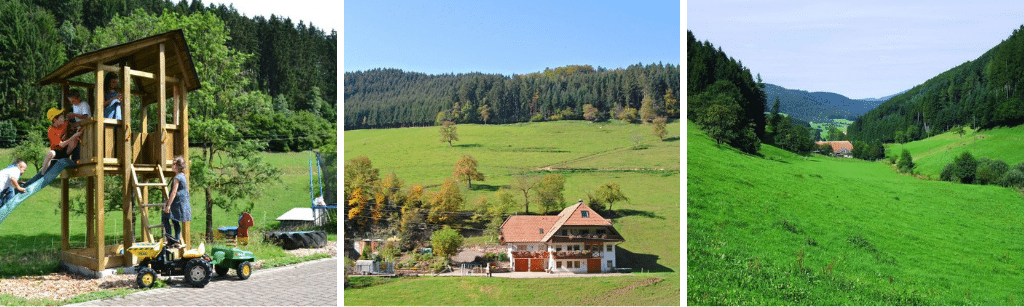 Natuurhuisje Hofstetten, natuurhuisjes zwarte woud