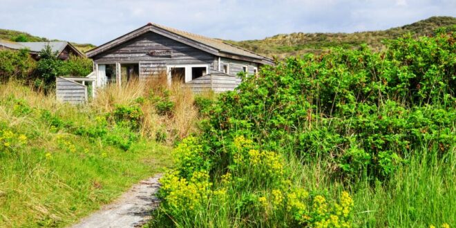 Natuurhuisje in de duinen, bijzonder overnachten Waddeneilanden