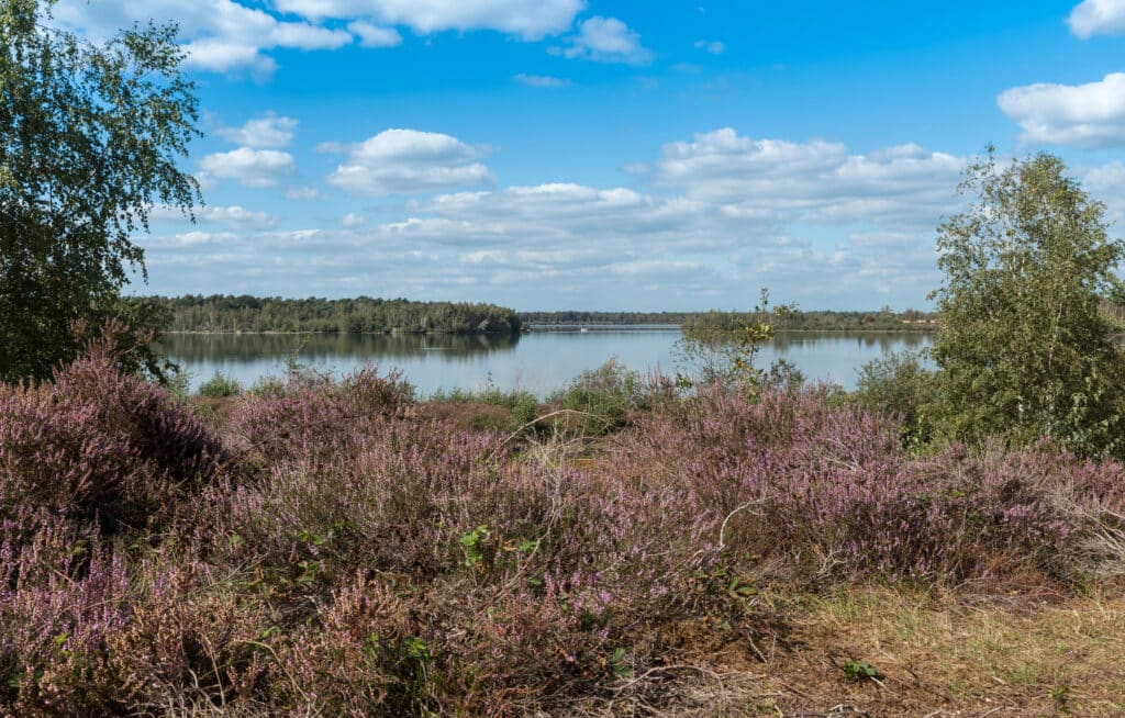 Reindersmeer meren Nederland, natuurhuisjes aan een meer nederland