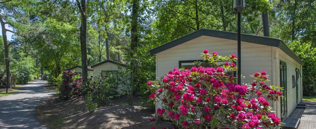 Roompot Bospark De Schaapskooi 2, vakantiehuisjes met jacuzzi op de Veluwe