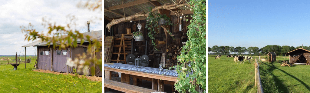 Top-10 boerencampings in Nederland