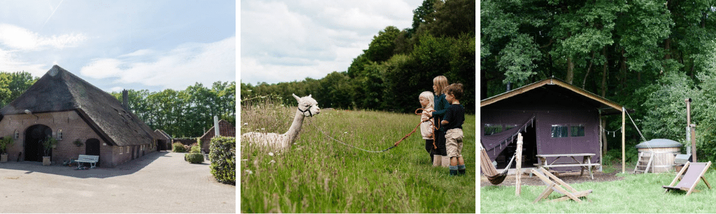 Boerenbed Landgoed Volenbeek Boerencamping Nederland, glamping Friesland