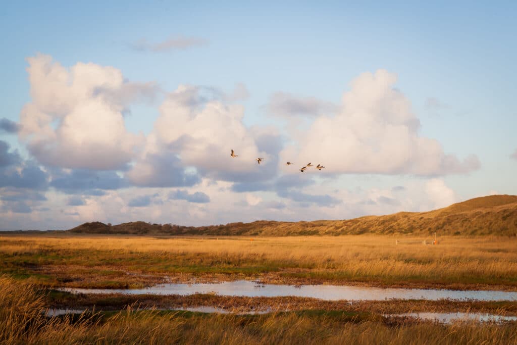 De Slufterroute Fietsroutes Nederland, fietsroutes Nederland