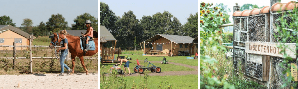Top-10 boerencampings in Nederland