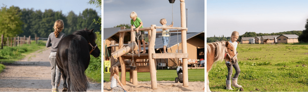 Top-10 boerencampings in Nederland