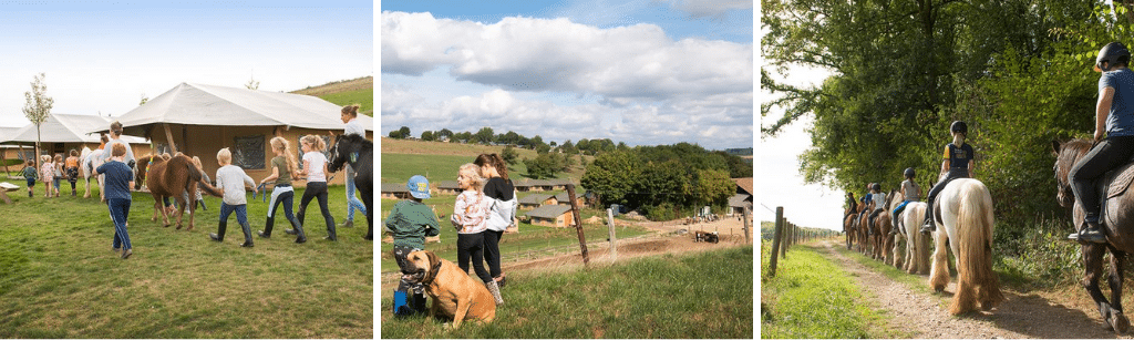 FarmCamps De Verloren Kost Boerencamping Nederland, campings Utrechtse Heuvelrug