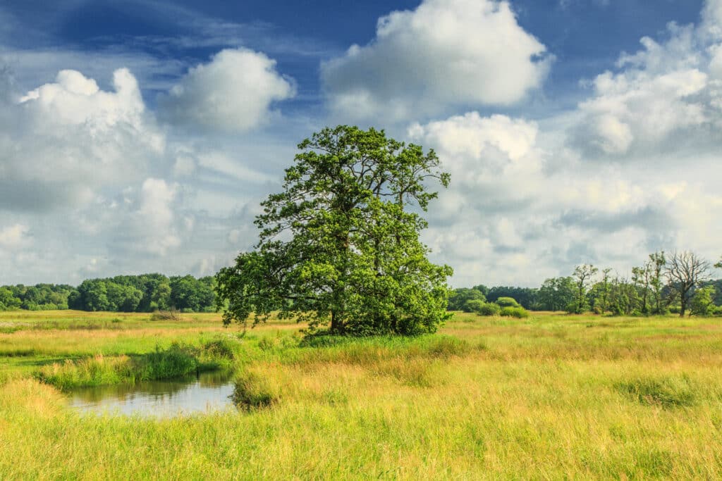 Fietsroute Deurzerdiep Fietsroutes Nederland, fietsroutes Nederland