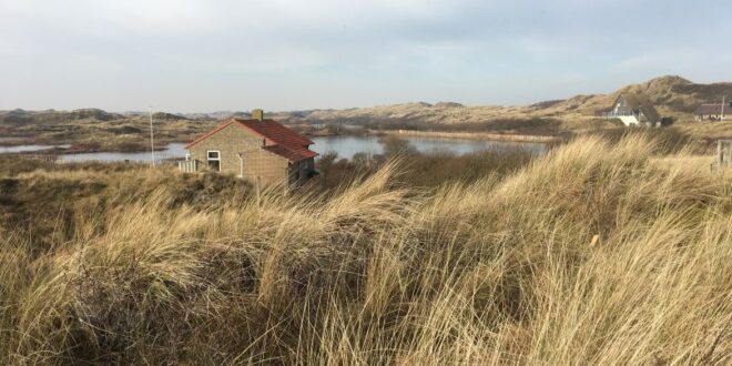 Natuurhuisje in Midsland aan Zee vakantiehuis Terschelling, vrijstaande natuurhuisjes Groningen