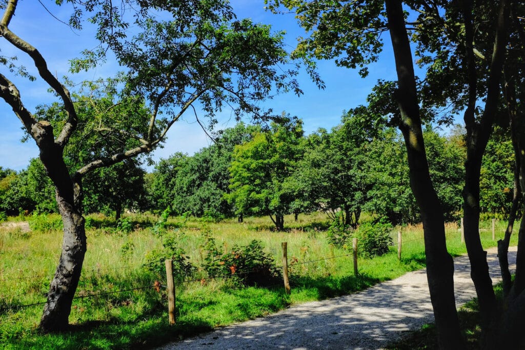 10 x mooie fietsroutes in Nederland