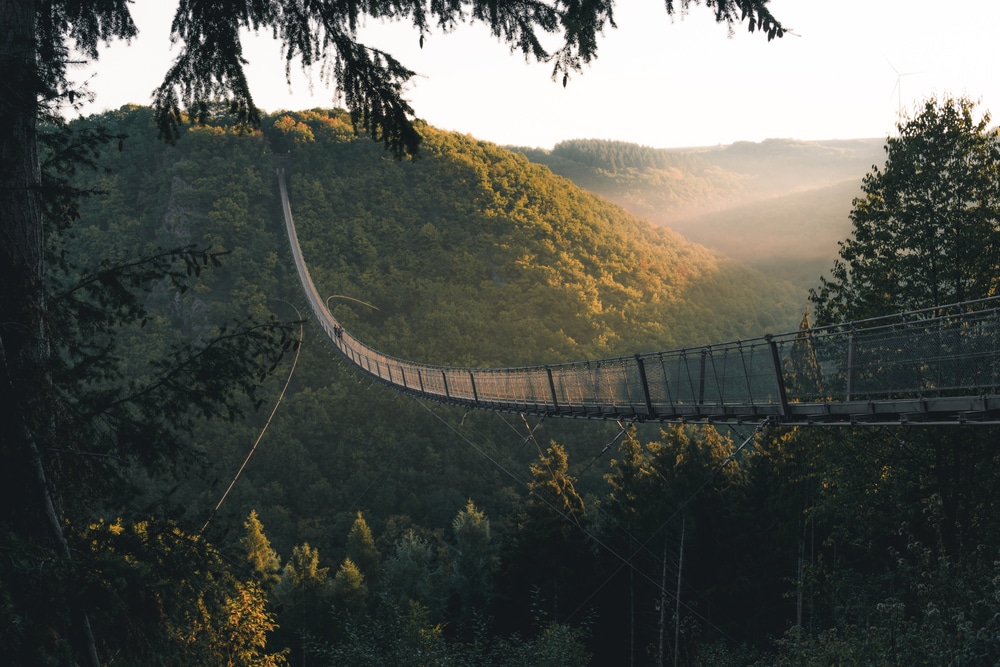 Hunsruck Hochwald Natuurparken Duitsland