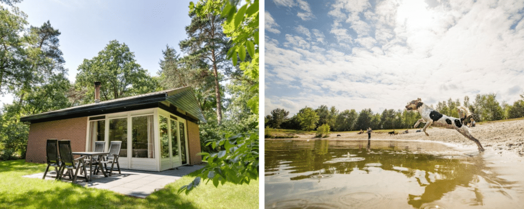 10 vakantieparken in de natuur van Twente