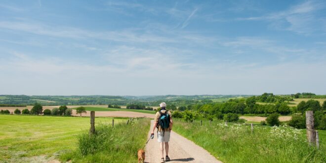Top 10 campings in Limburg