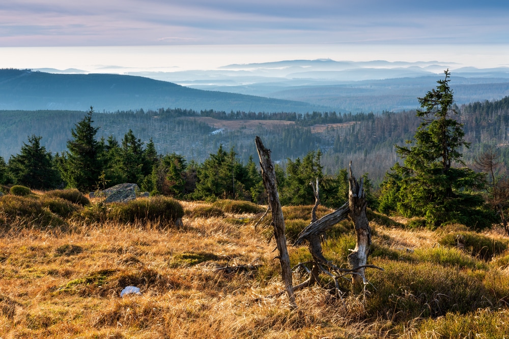 Nationaal Park Harz Natuurparken Duitsland, bijzonder overnachten Duitsland