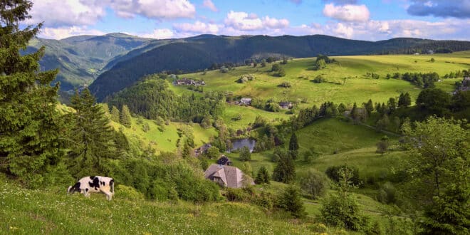 Nationaal Park Zwarte Woud Natuurparken Duitsland, Bezienswaardigheden in Roemenië