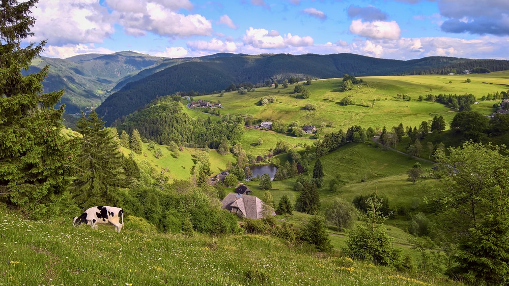 Nationaal Park Zwarte Woud Natuurparken Duitsland