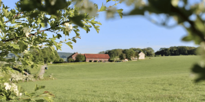 10x mooie natuurhuisjes in de heuvels van Zuid-Limburg