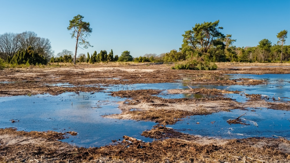 Buurserzand natuurgebieden Overijssel, Natuurgebieden in Nederland