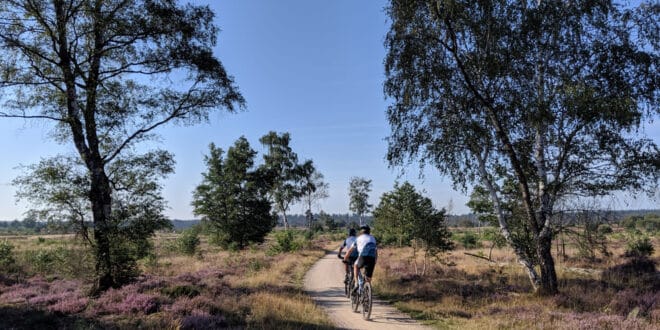 Fietsen Sallandse Heuvlerug, natuurhuisjes vechtdal overijssel