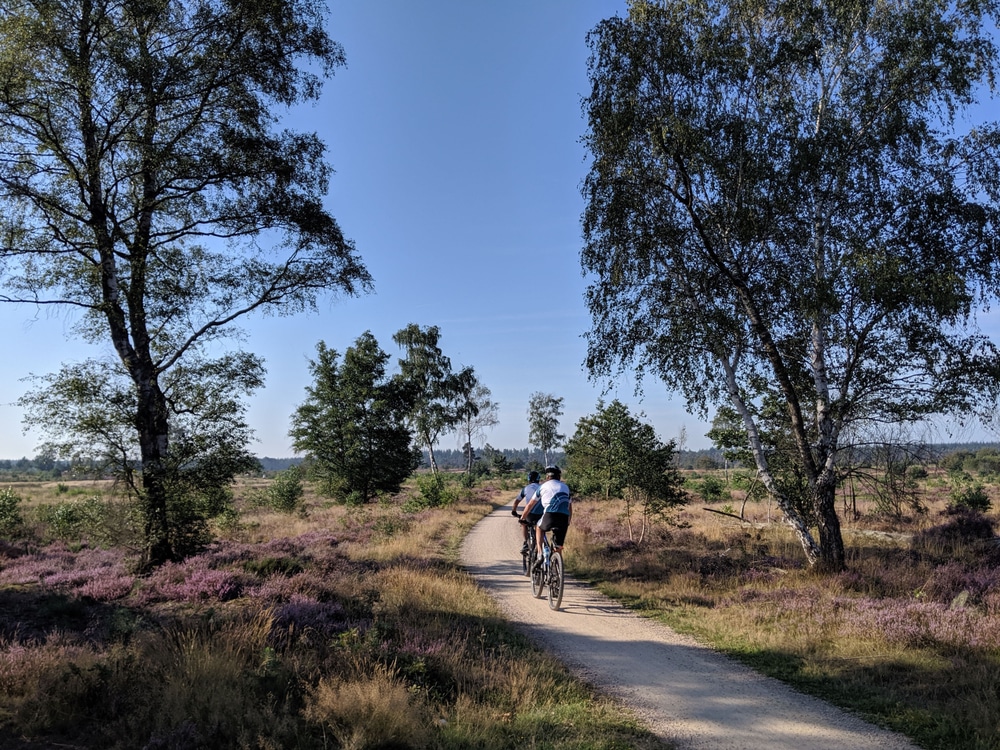 Fietsen Sallandse Heuvlerug, wandelen Twente