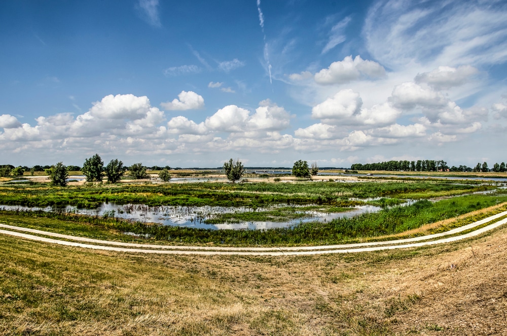 Ijsseldelta natuurgebieden Overijssel, wandelen Overijssel