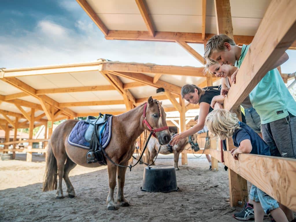 Landal Land van Bartje, mooiste campings in Drenthe