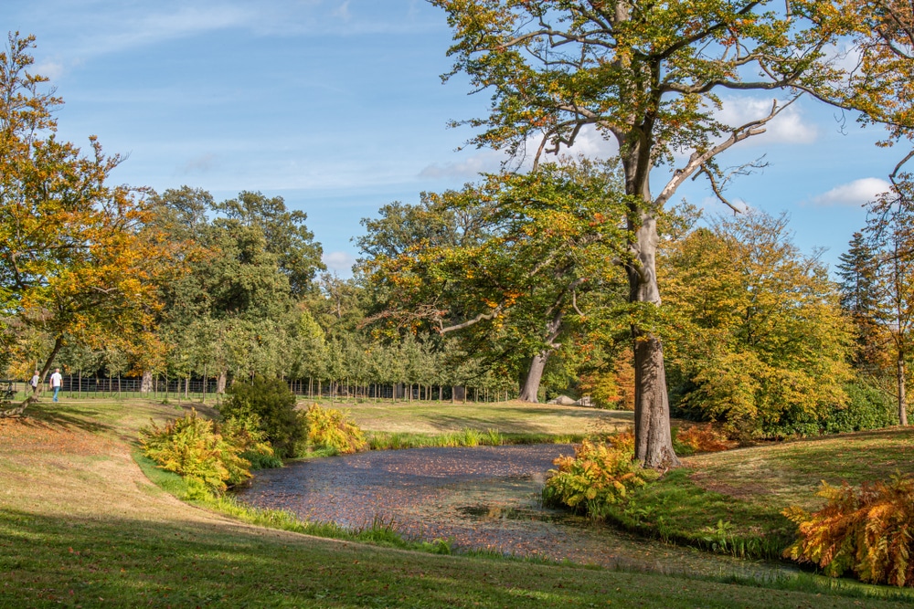 Landgoed Twickel Natuurgebieden Overijssel, mooie natuurgebieden Overijssel