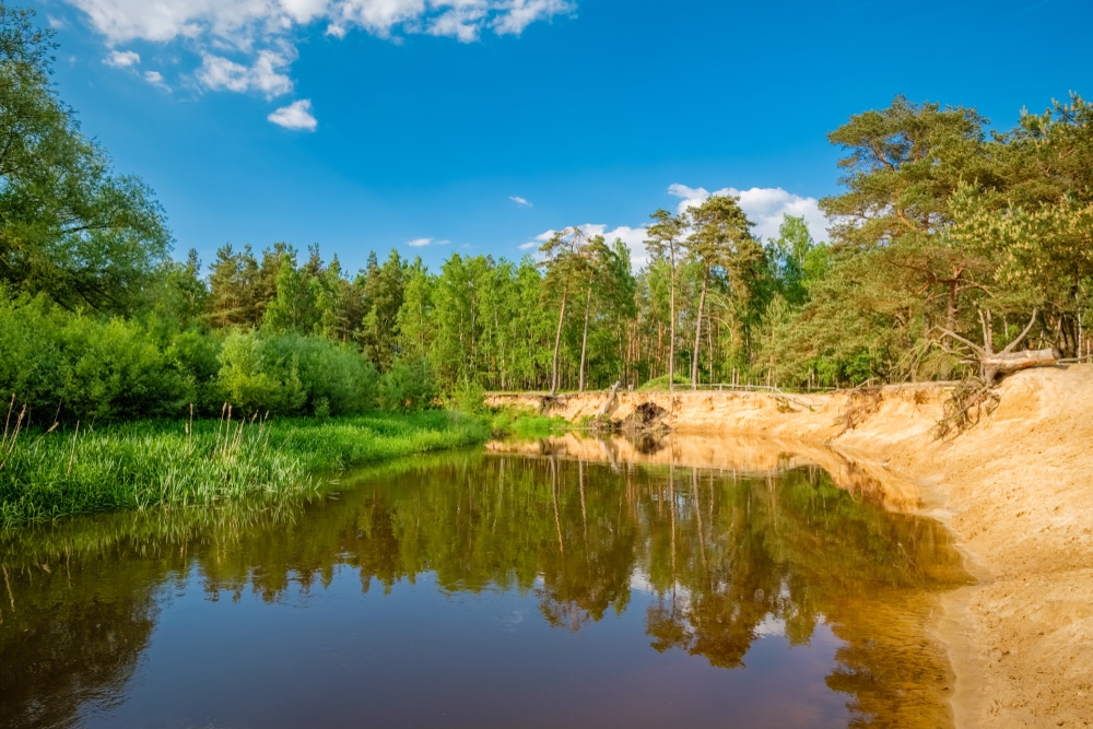 Lutterzand natuurgebieden Overijssel, natuurhuisjes vechtdal overijssel