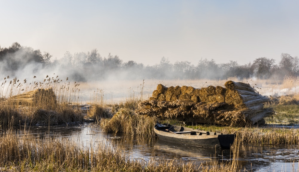 Nationaal Park Weerribben Wieden Natuurgebieden Overijssel, mooie natuurgebieden Overijssel