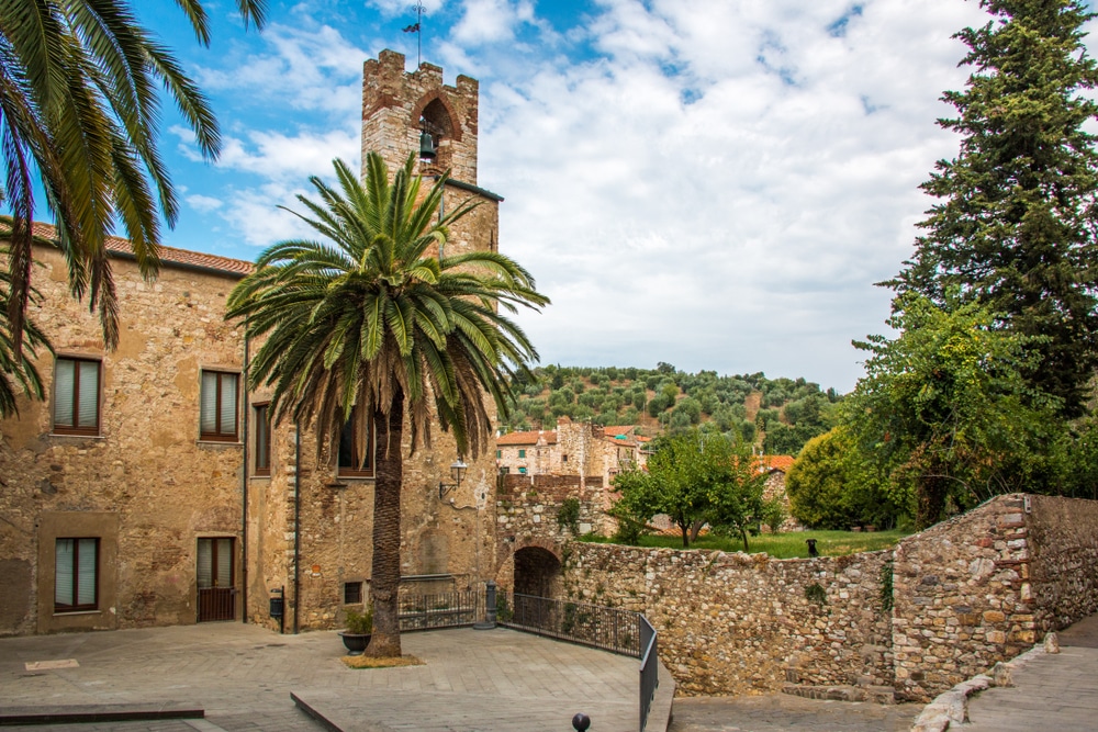 foto van een palmboom voor een oud kasteel in het Toscaanse dorpje Suvereto