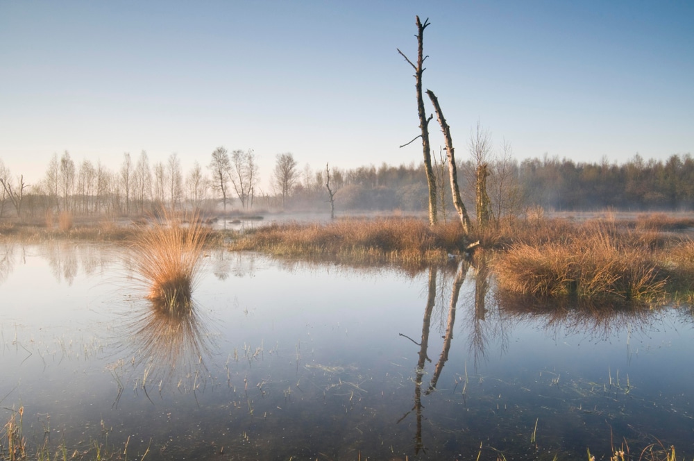 Bargerveen natuurgebieden drenthe, bijzonder overnachten drenthe