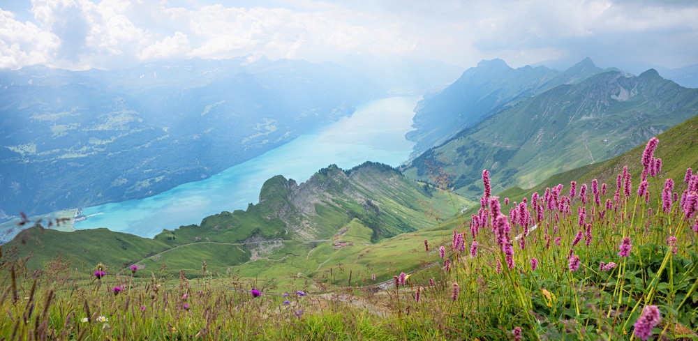 Brienzersee Bergmeren Zwitserland, natuurgebieden Duitsland